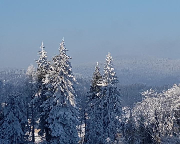 Waldgasthaus Auerhahn